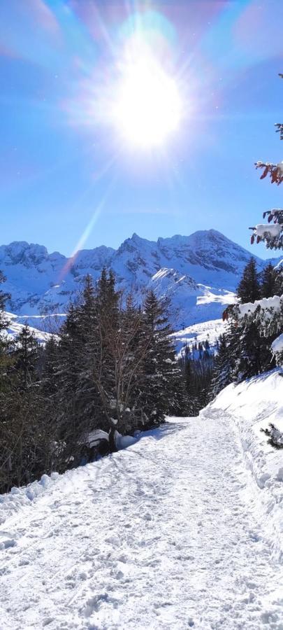 Hotel Boruta Zakopane Exteriör bild